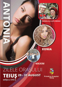 Zilele-Orasului-Teius-2014